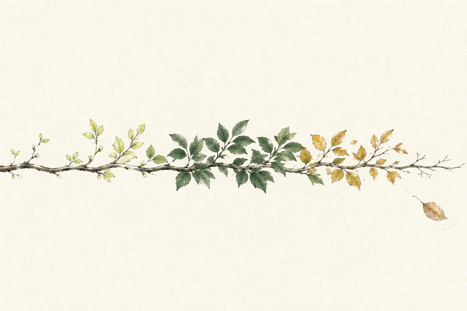 一本の枝の上で芽吹きから深緑、黄葉、落葉へと季節が移る水彩イラスト